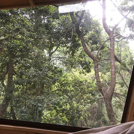 Cabanas Bosques De Loncotraro Villarrica Bagian luar foto