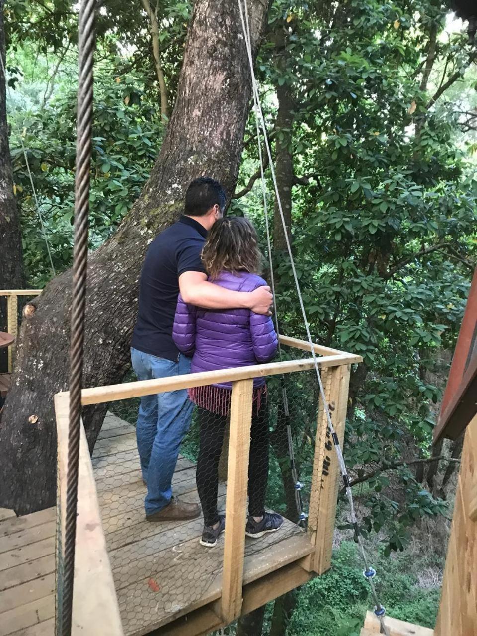 Cabanas Bosques De Loncotraro Villarrica Bagian luar foto