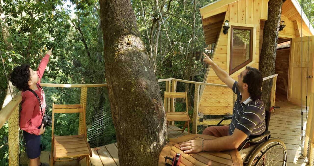 Cabanas Bosques De Loncotraro Villarrica Bagian luar foto