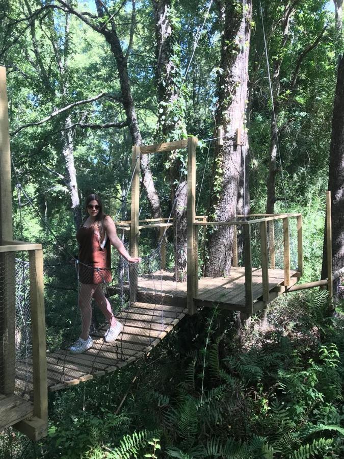 Cabanas Bosques De Loncotraro Villarrica Bagian luar foto