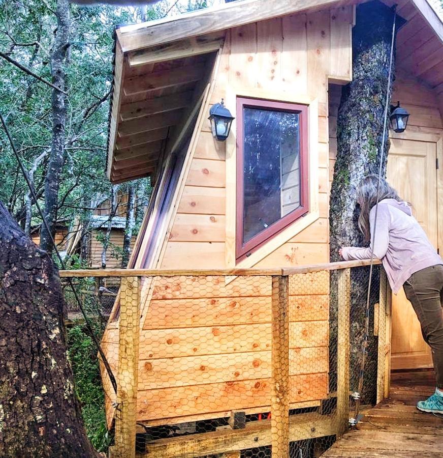 Cabanas Bosques De Loncotraro Villarrica Bagian luar foto