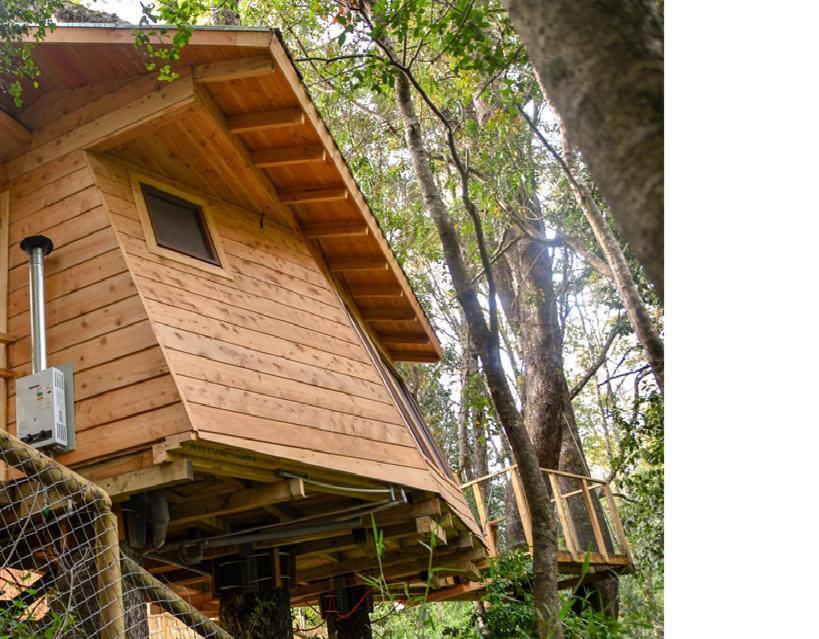 Cabanas Bosques De Loncotraro Villarrica Bagian luar foto