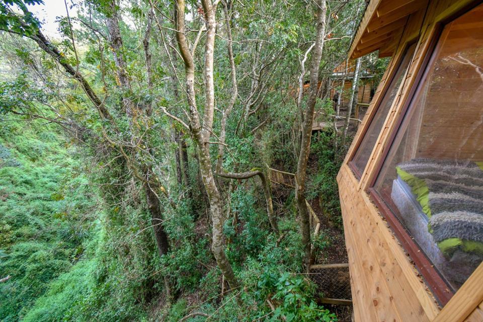 Cabanas Bosques De Loncotraro Villarrica Bagian luar foto
