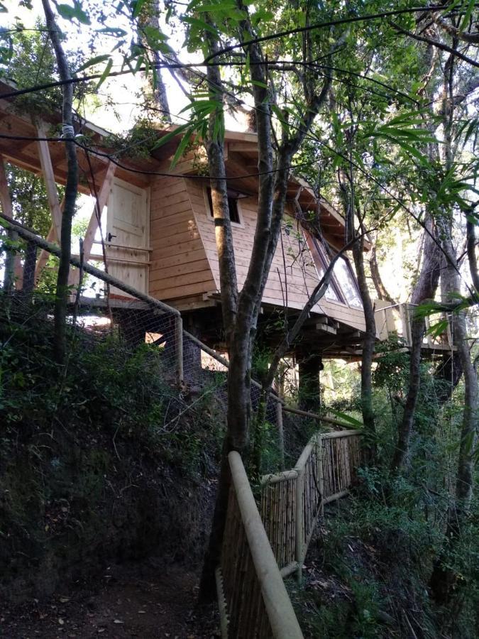 Cabanas Bosques De Loncotraro Villarrica Bagian luar foto
